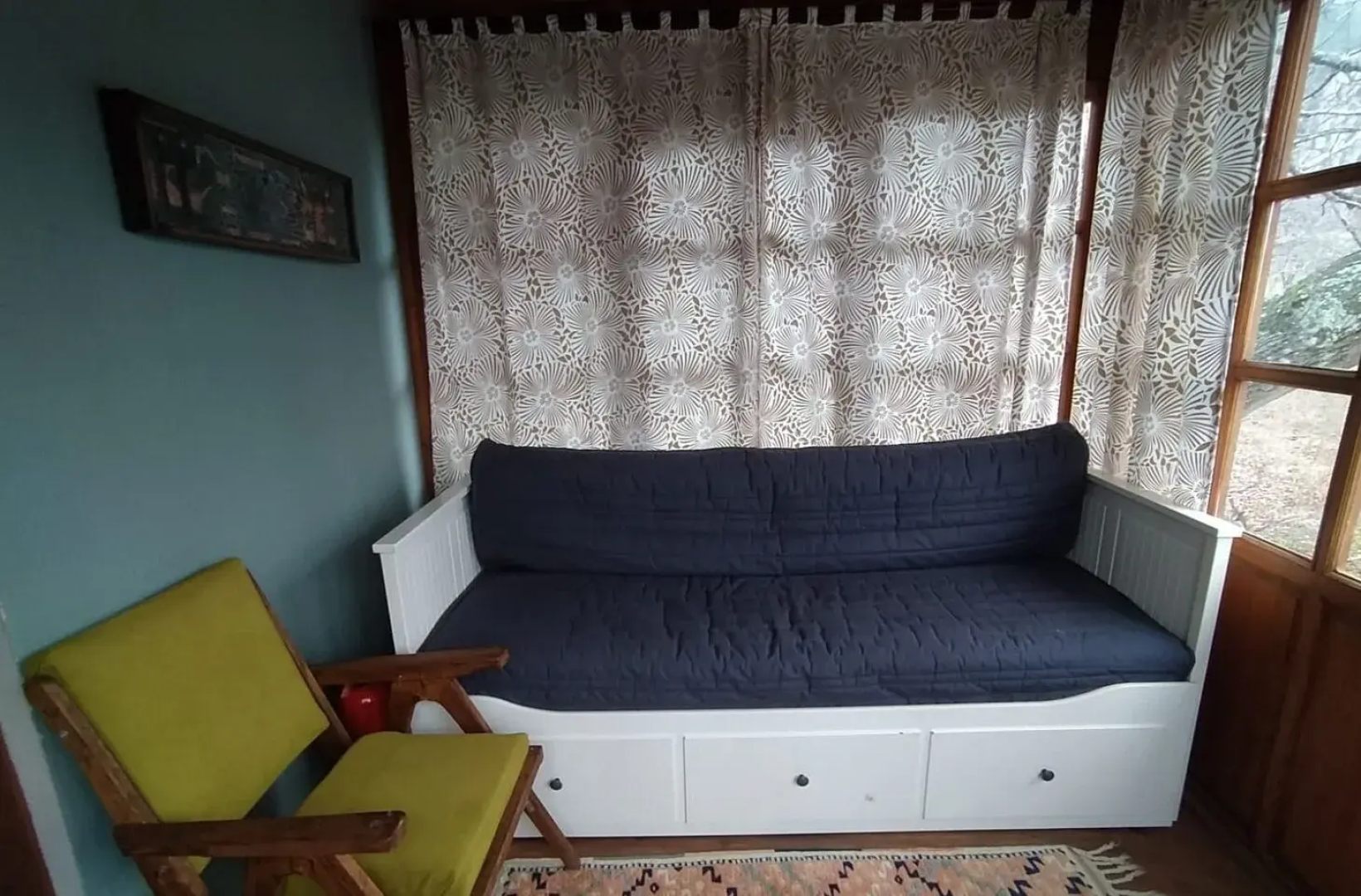 Torrhebia Dag Evi