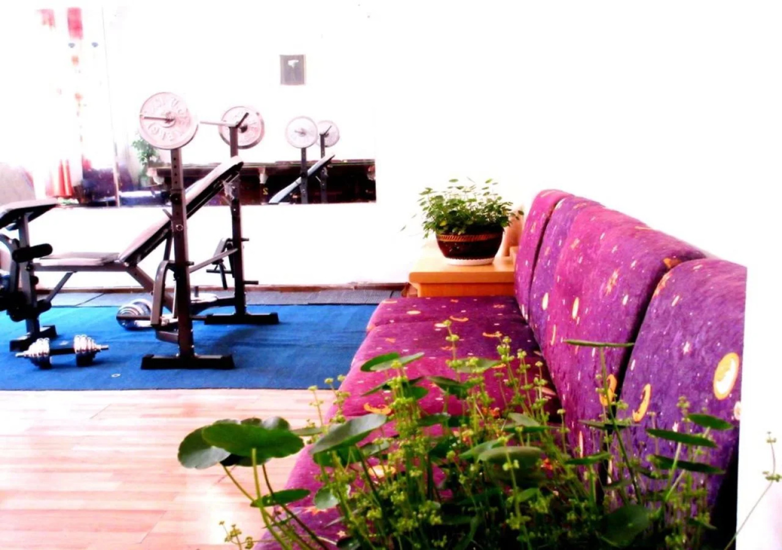 25 Four Seasons Youth Hostel