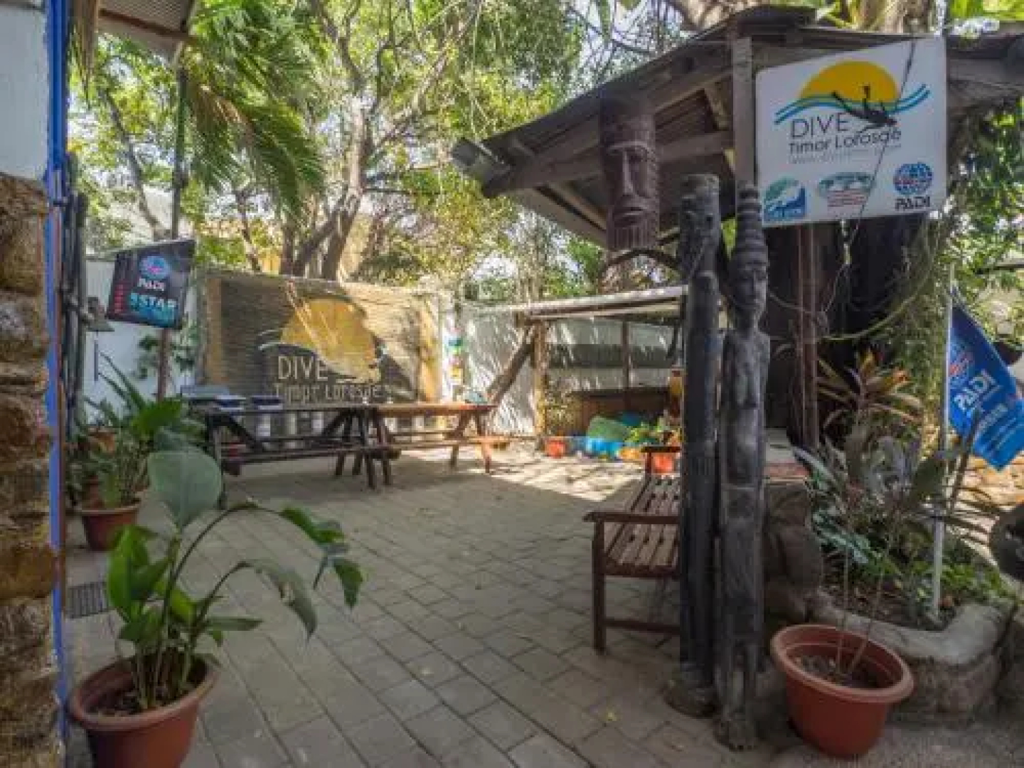Timor Backpackers