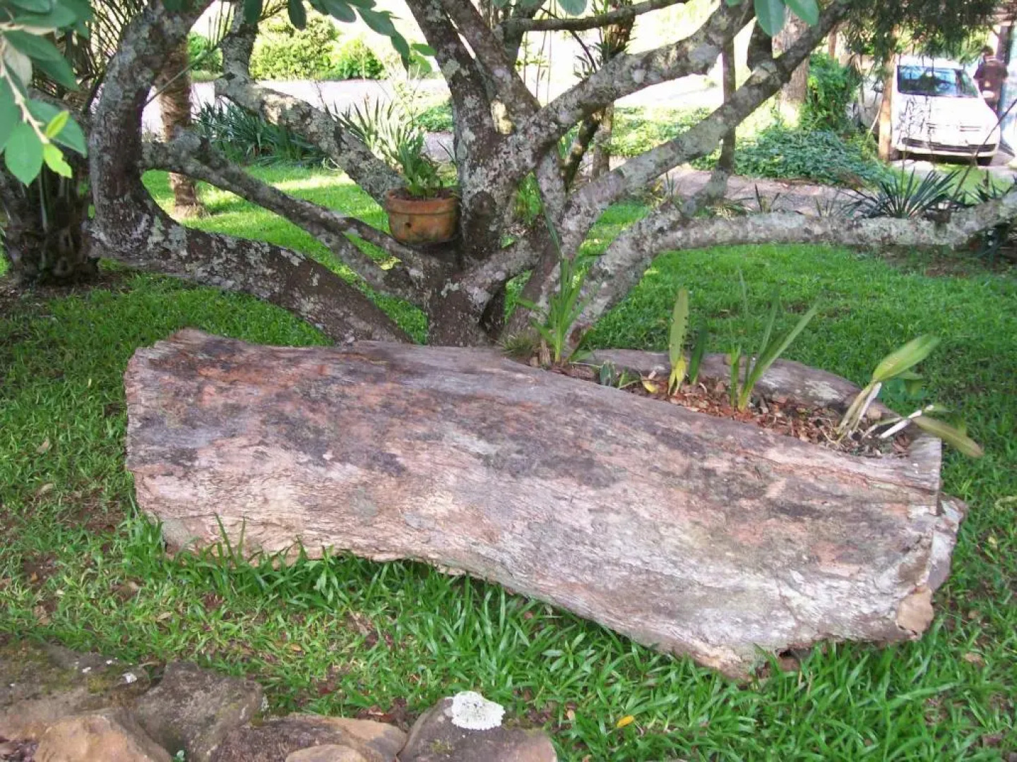 Espaço Holístico Chalés