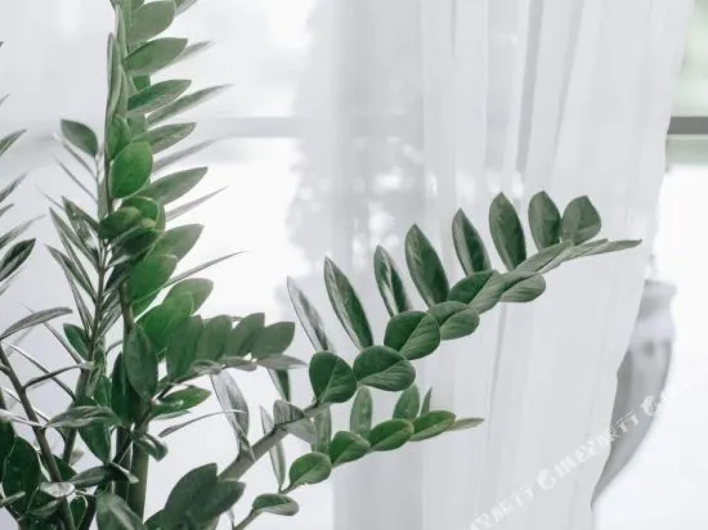 The Resort Kamphaengphet