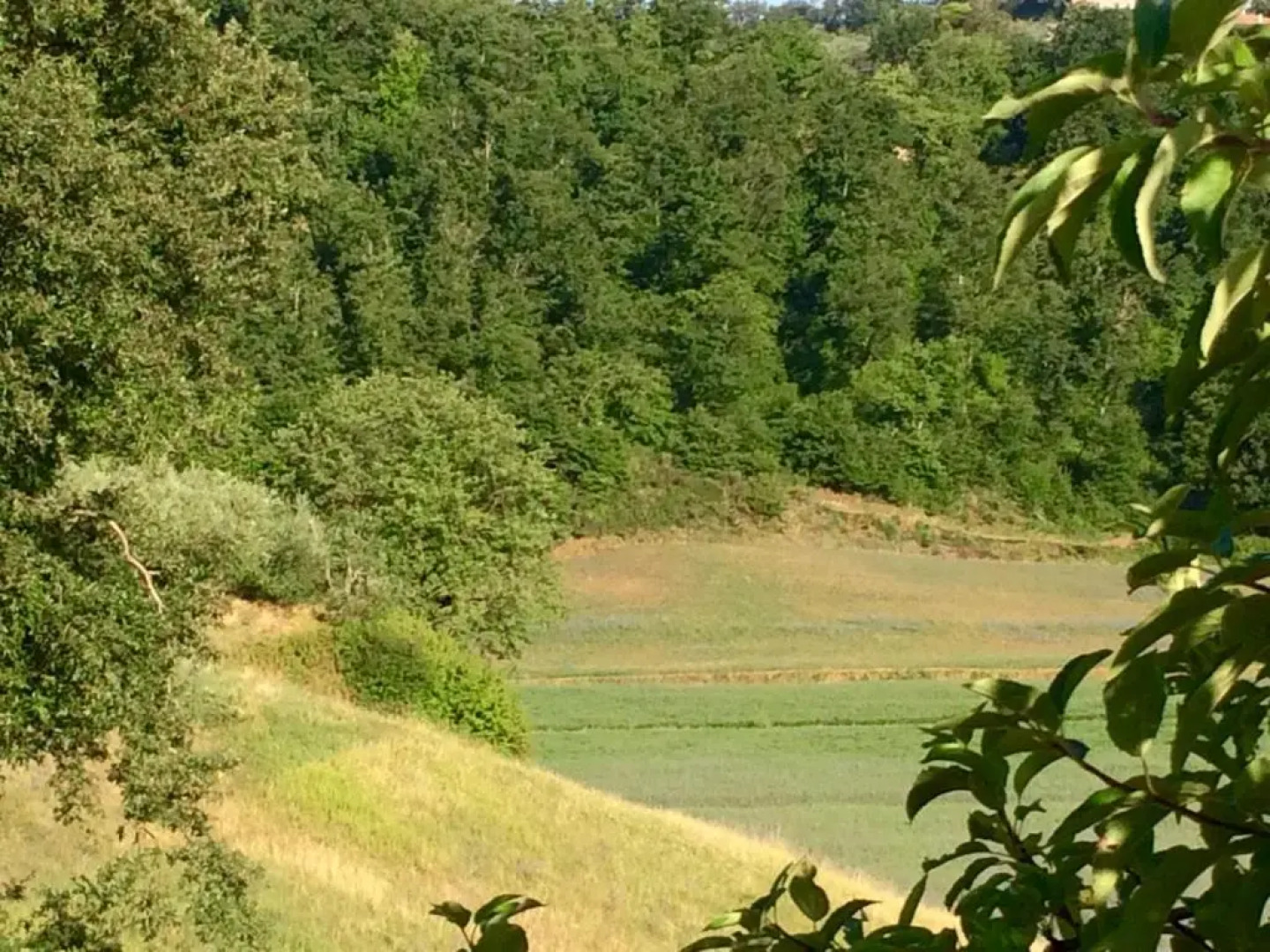 Agriturismo San Gregorio