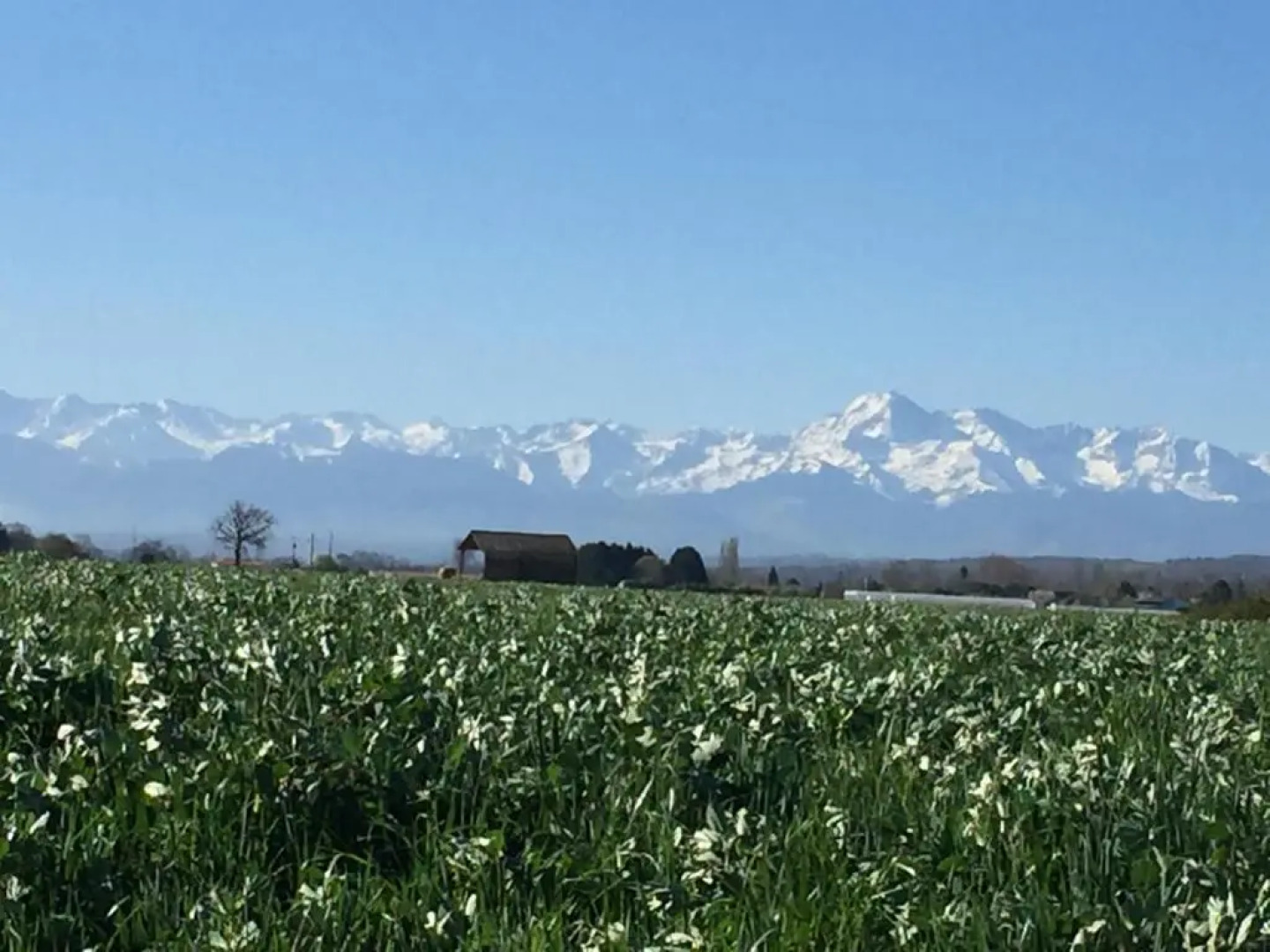 Saint Sever des Pyrenees