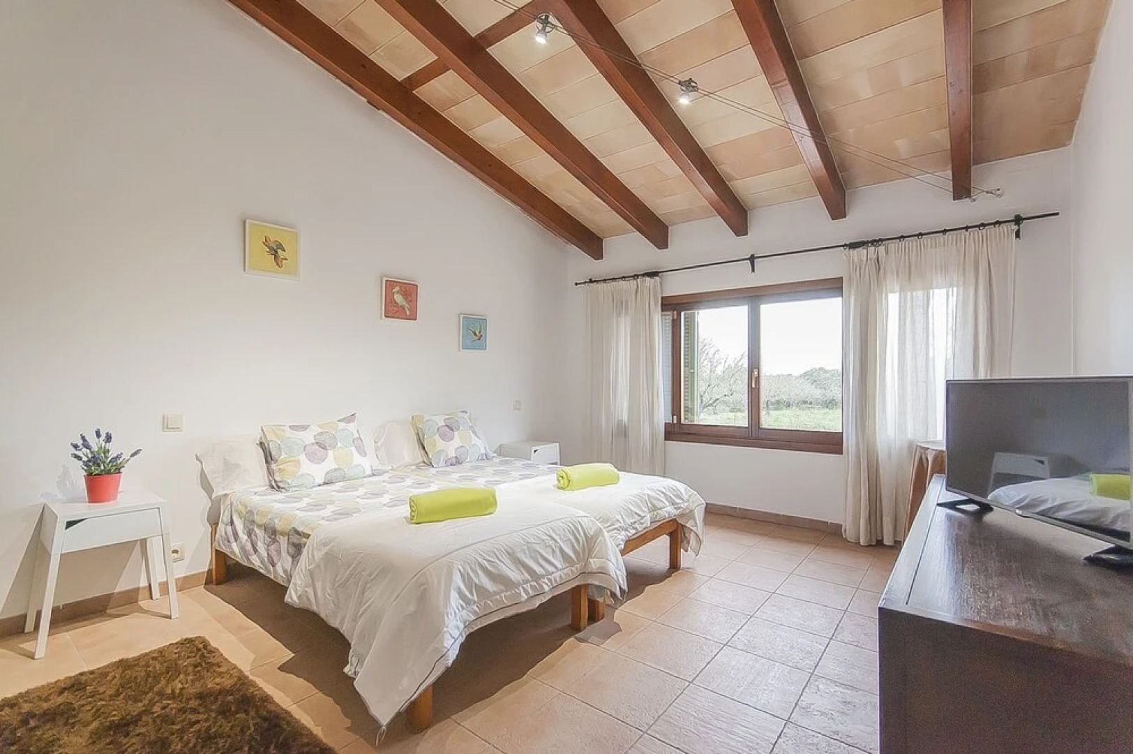 Finca Ses Rotes Velles