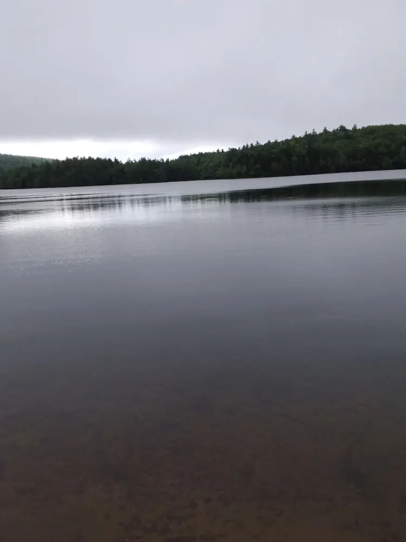 Hummingbird Hill Bed & Breakfast