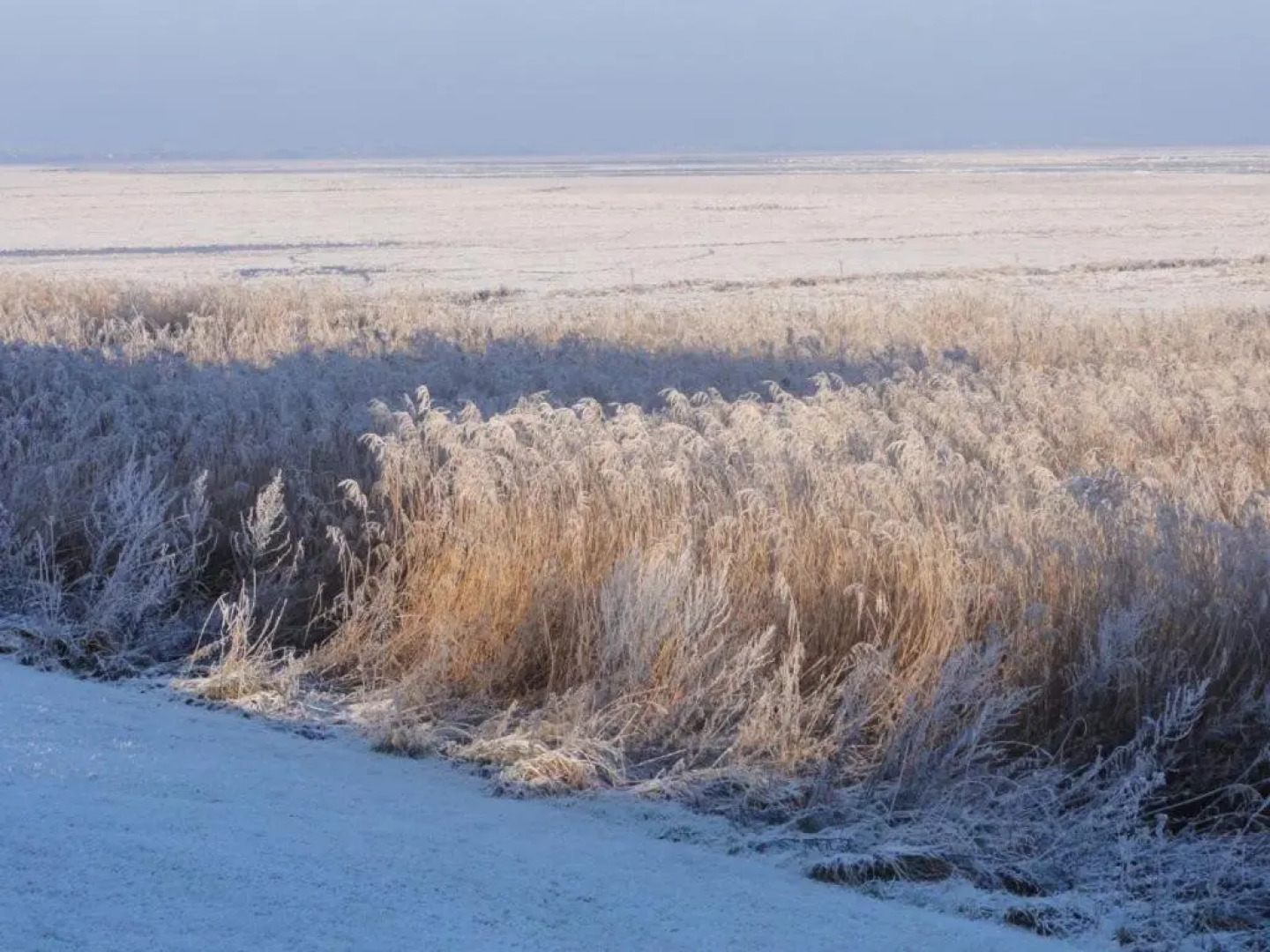 Ferienwohnung Luxus mit Wattenmeerblick