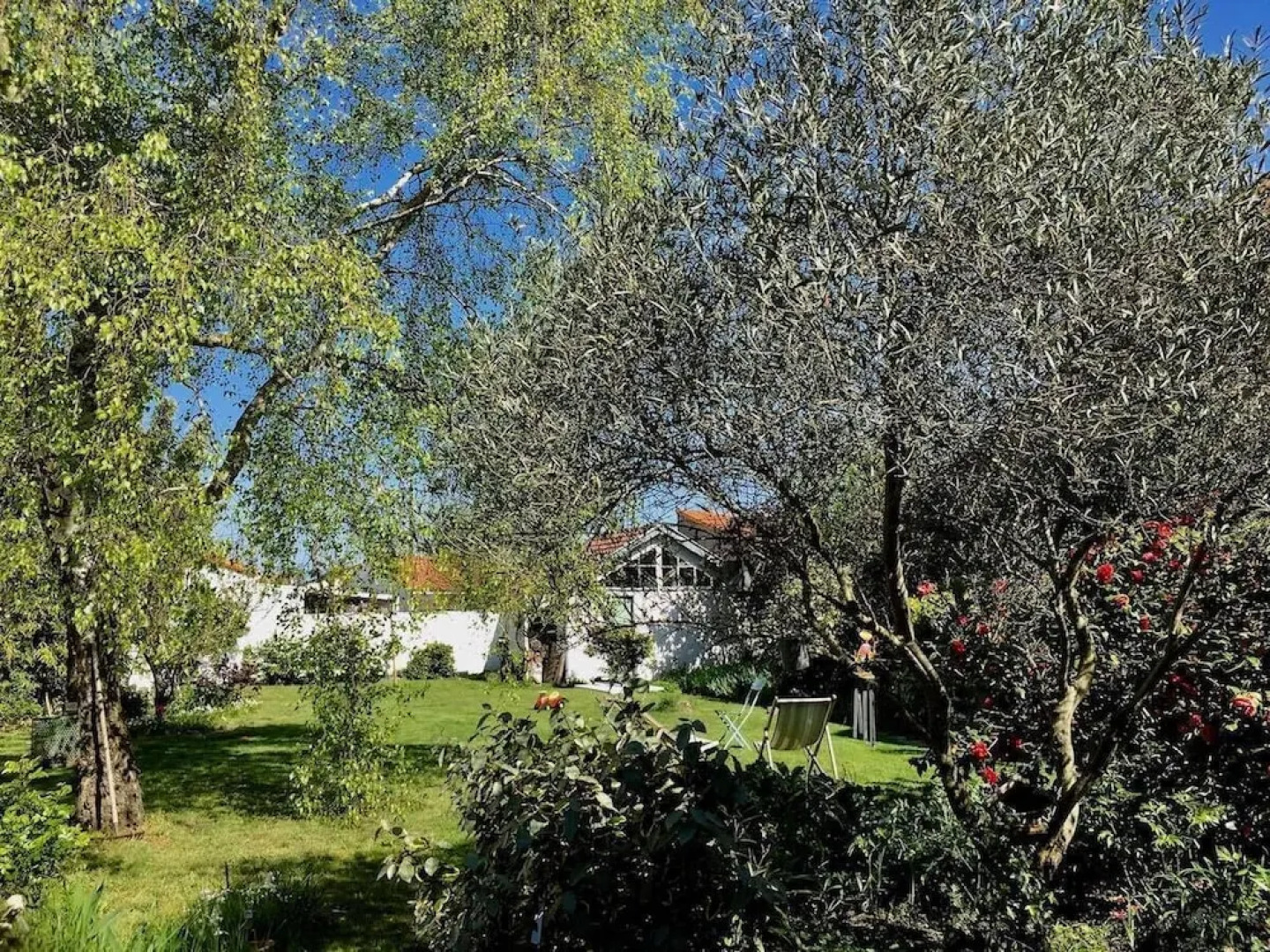 Le Jardin des Tortues