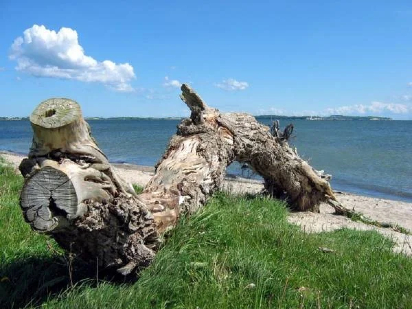 Oma's Küche & Quartier