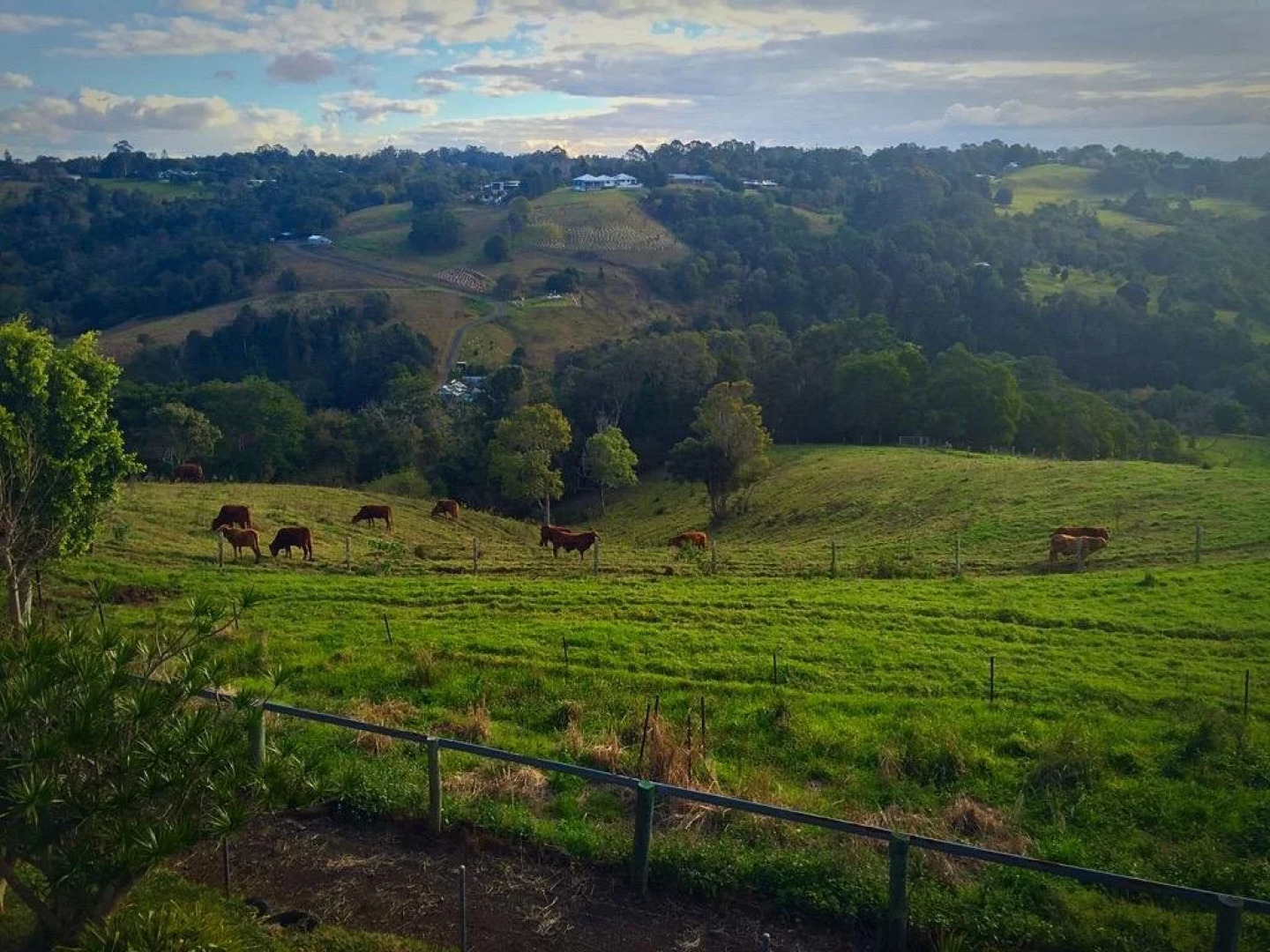 Shenanigans Spur Cottage