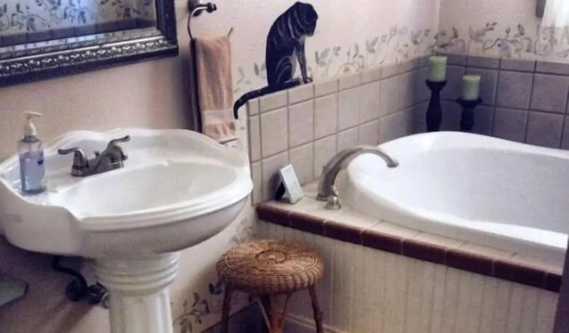 The B&B's of Monarc Ranch