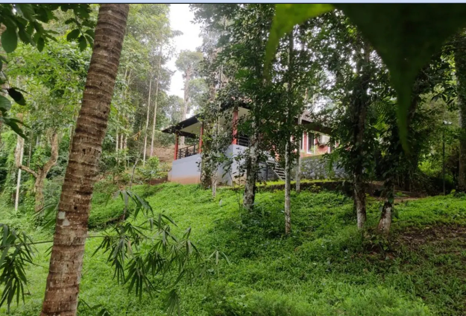 Wayanad Timber Creek Resort