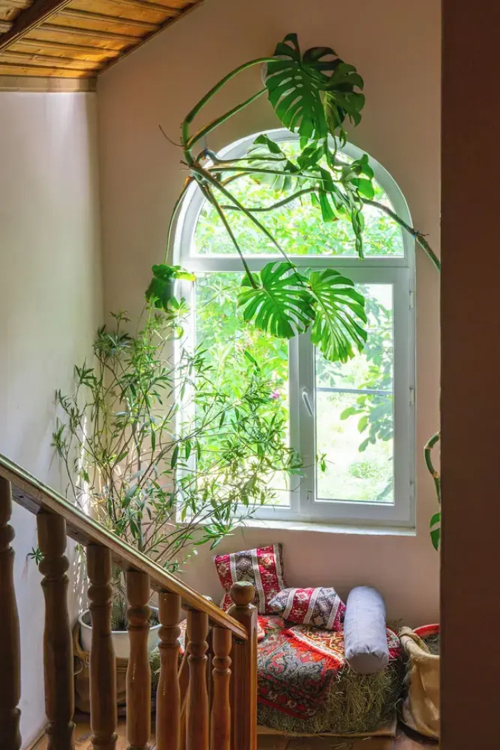 Etiuni The Forgotten Kingdom