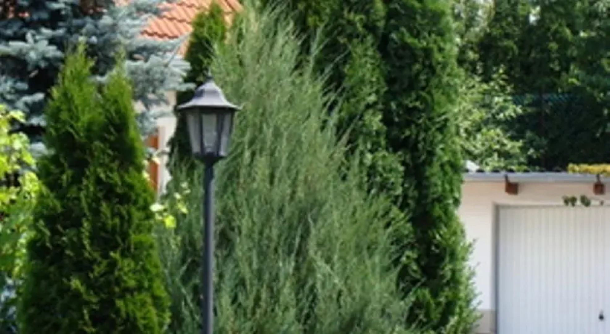 Palatinus Apartmanok