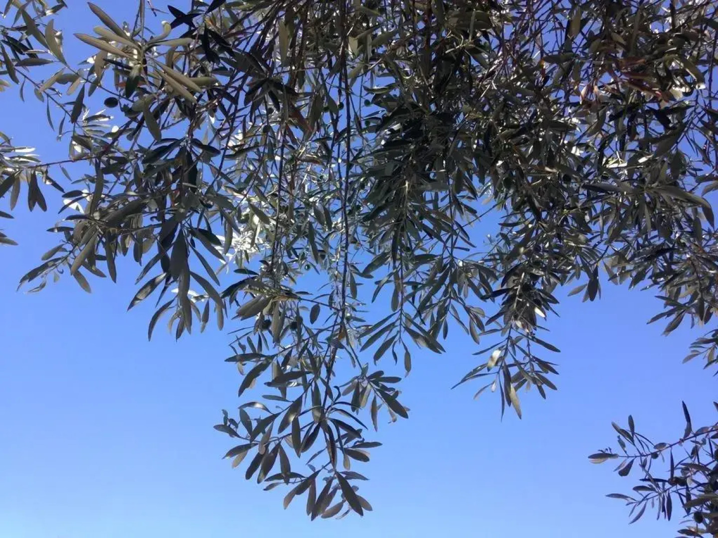 Chambre D'hôtes La Roquemalière