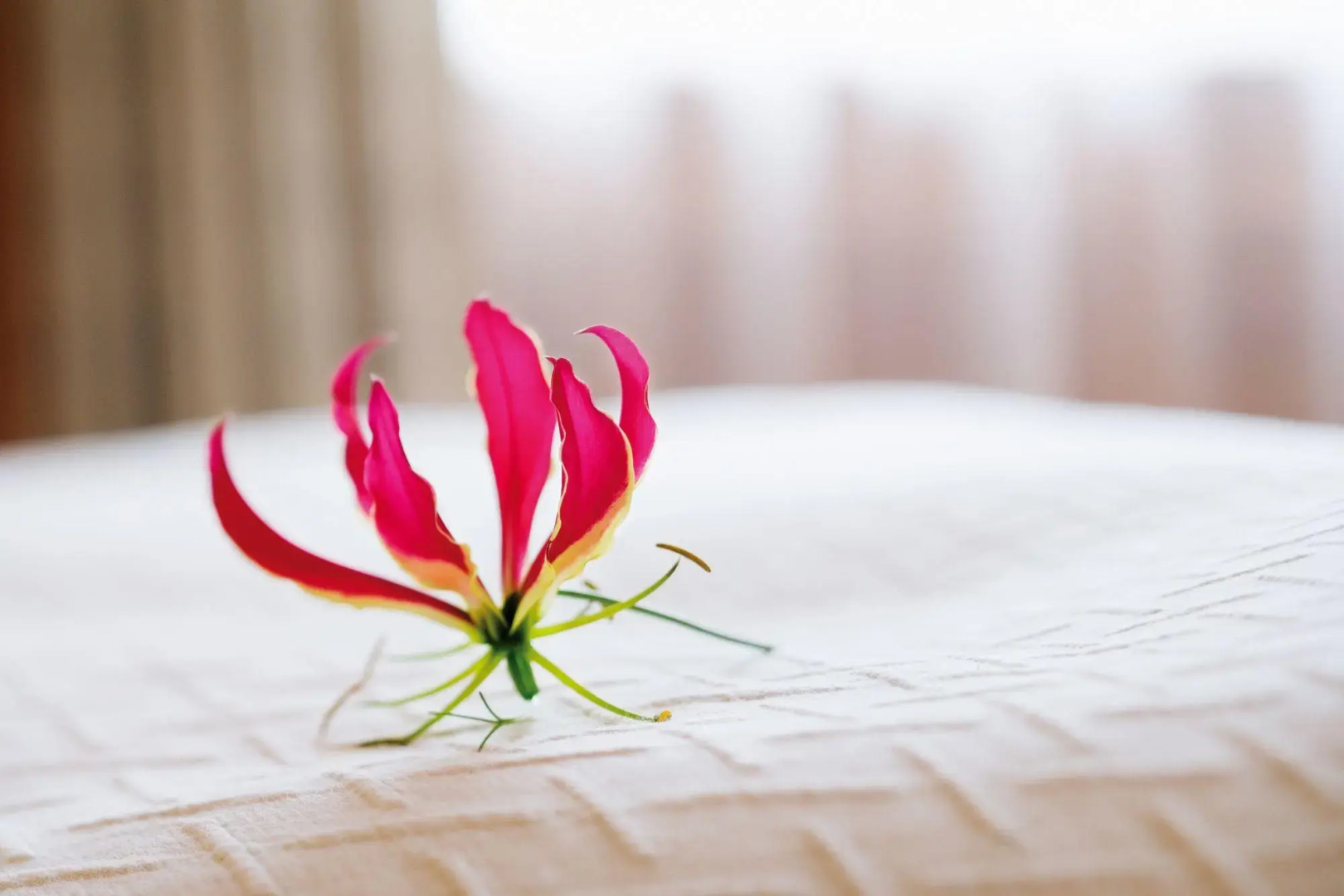 Отель Mövenpick Hotel & Residences Nairobi