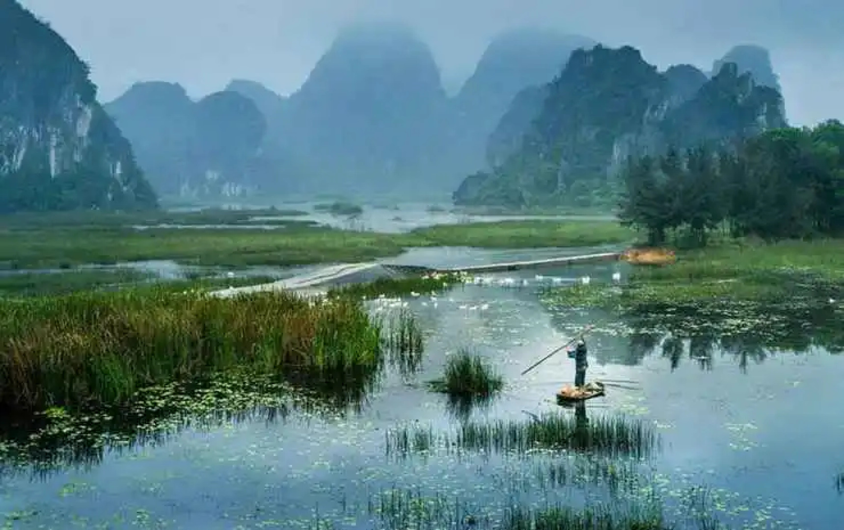 Van Long Family Homestay