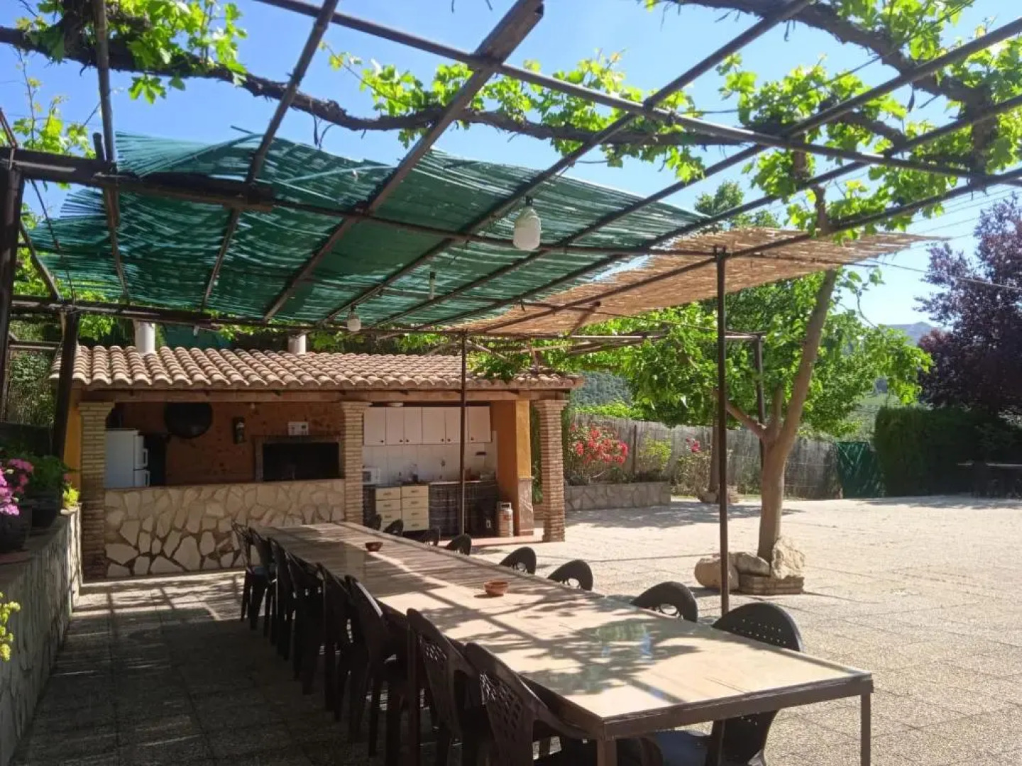 Alojamiento Macarena