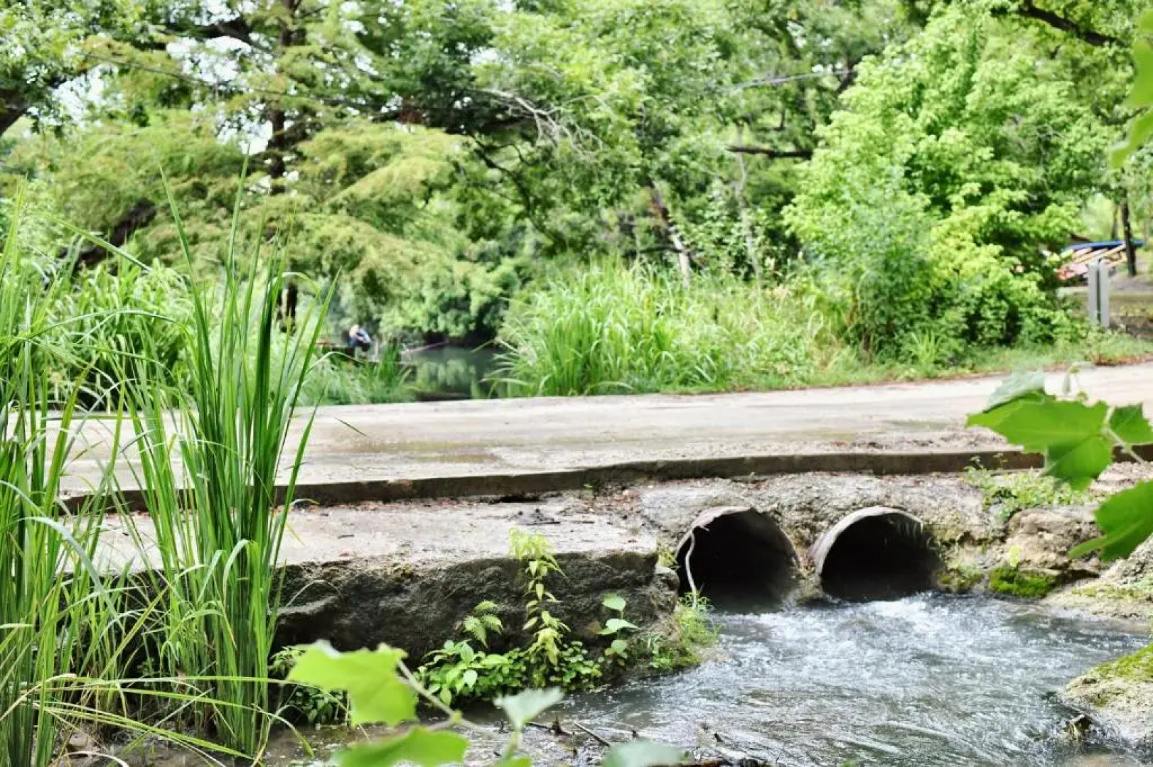 2 Son's Geronimo - Birdhouse Cabin