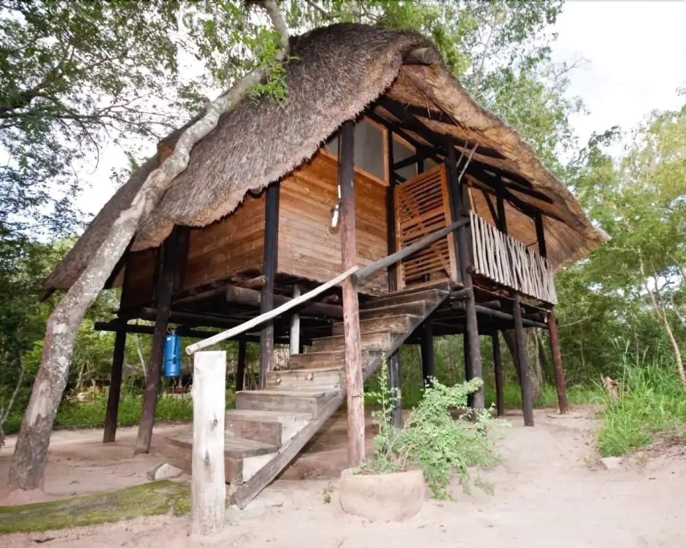 Miombo Safari Camp