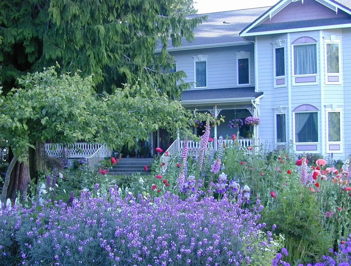 Sea Cliff Gardens Bed & Breakfast
