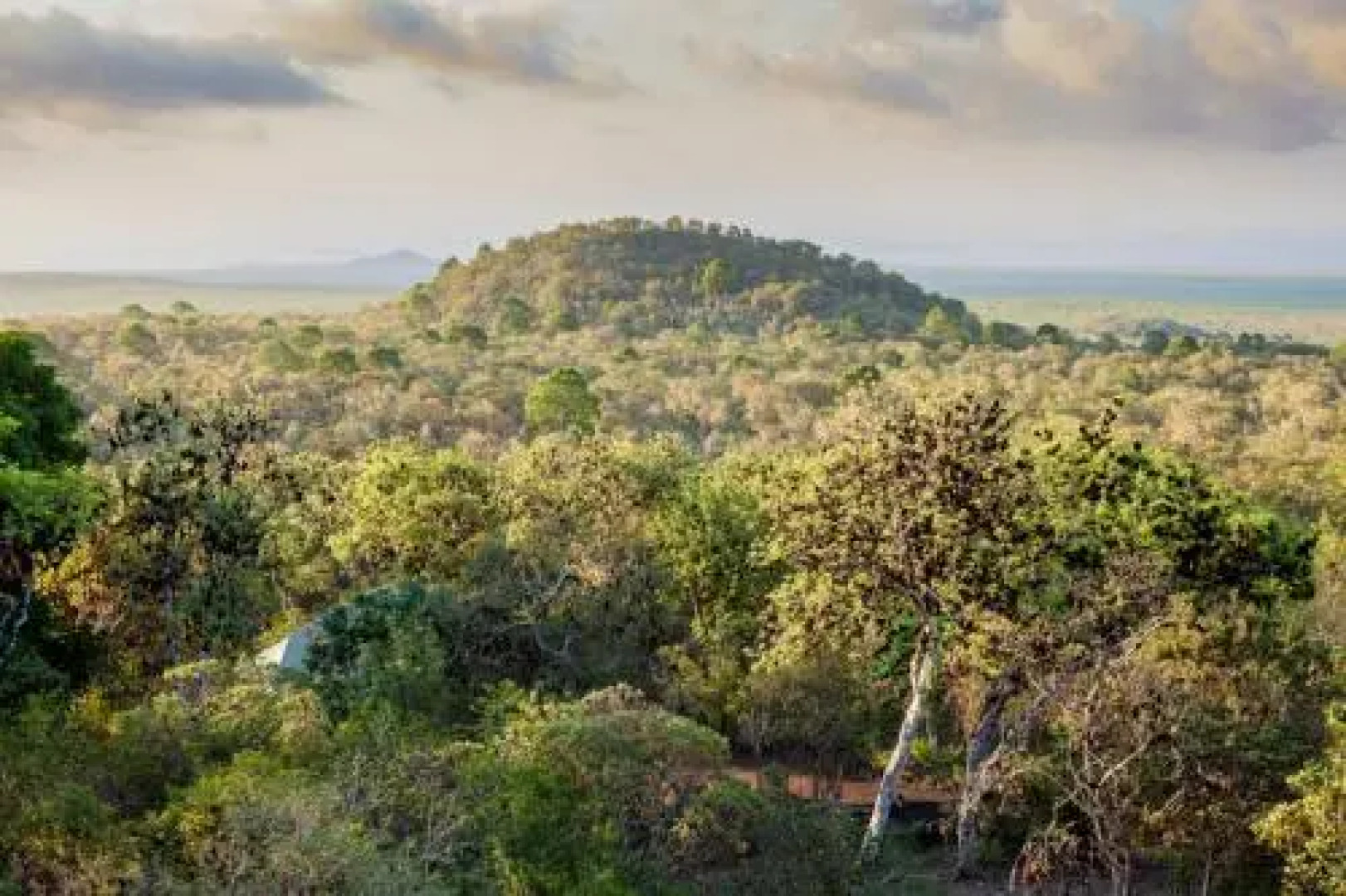 Galapagos Safari Camp