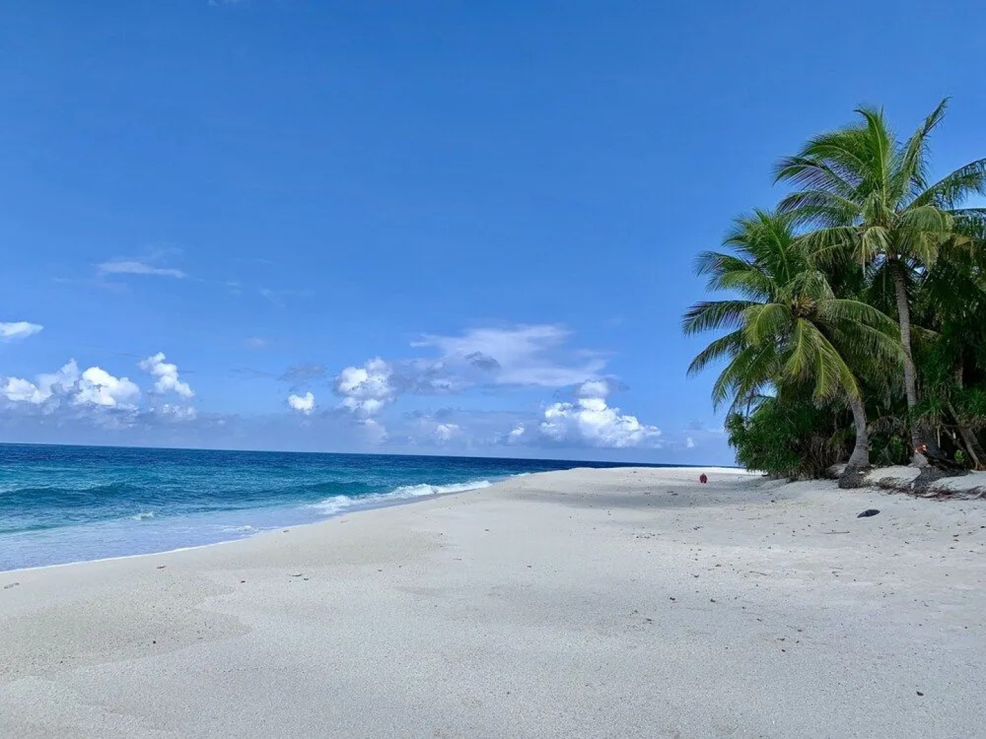 Endhaa Happiest Place on Earth