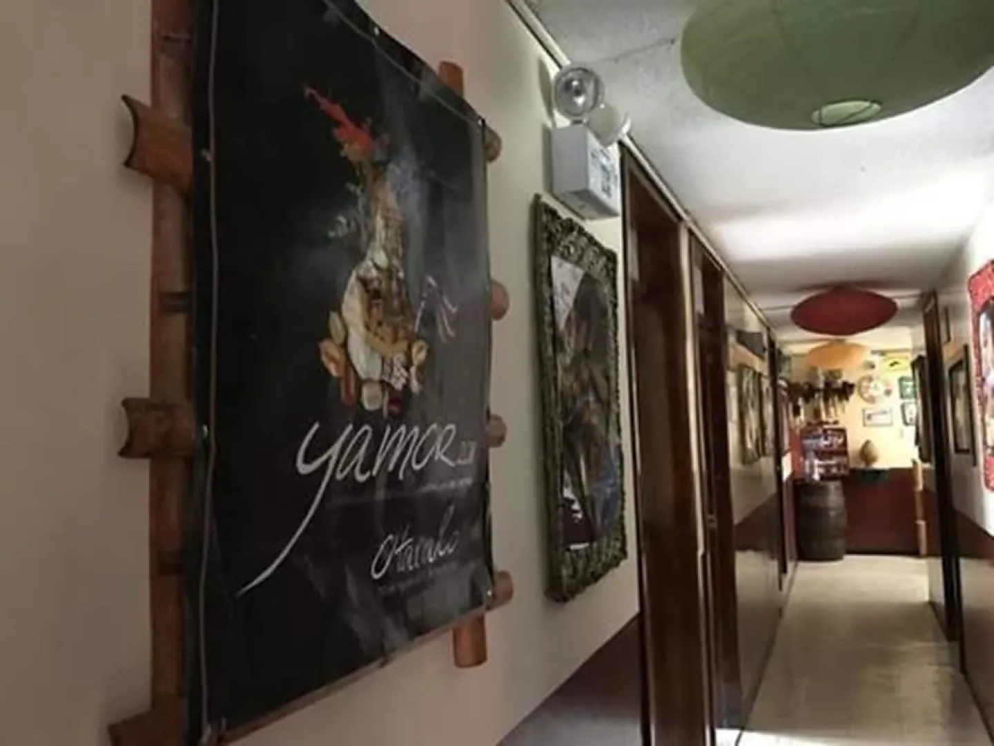 Flying Donkey Hostal - Hostel