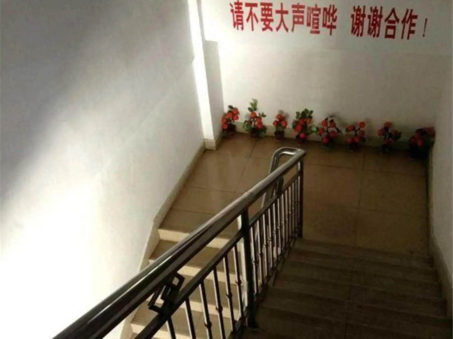 Happy Migratory Bird Family Hostel