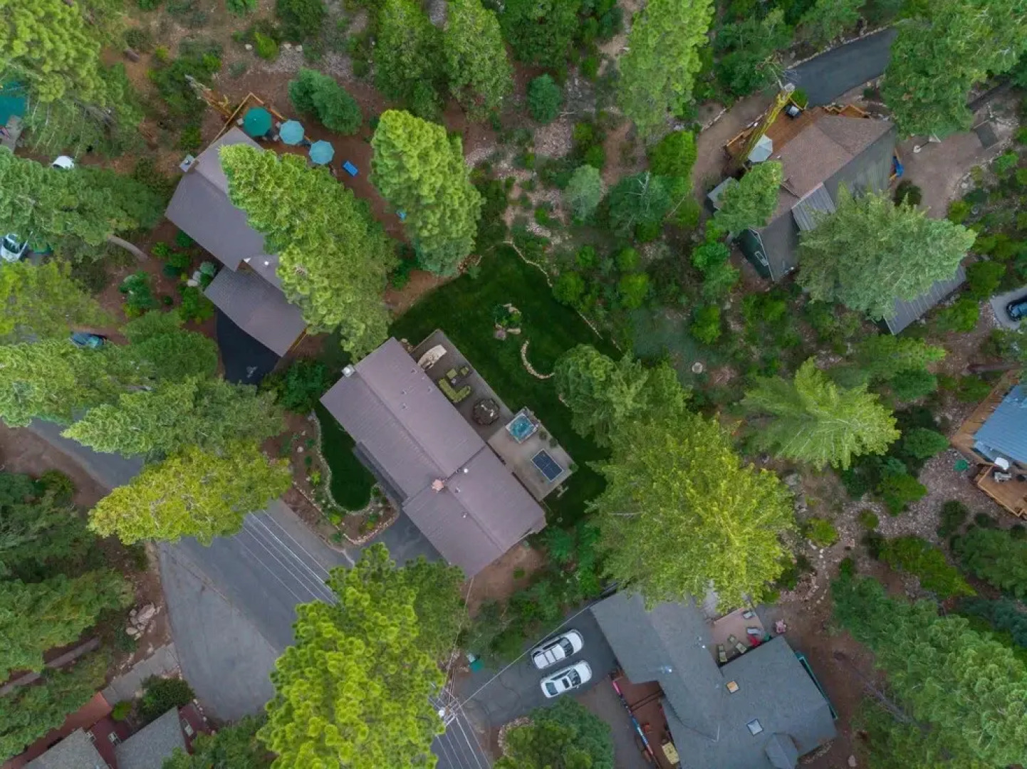 Cedar in Carnelian Bay