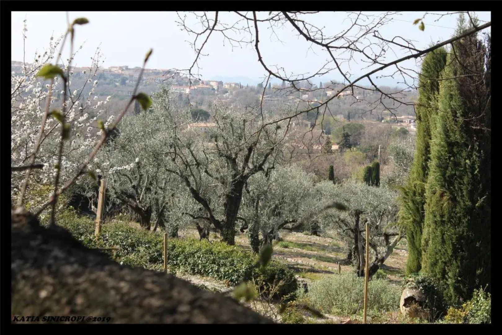 domaine des tilleuls d'or