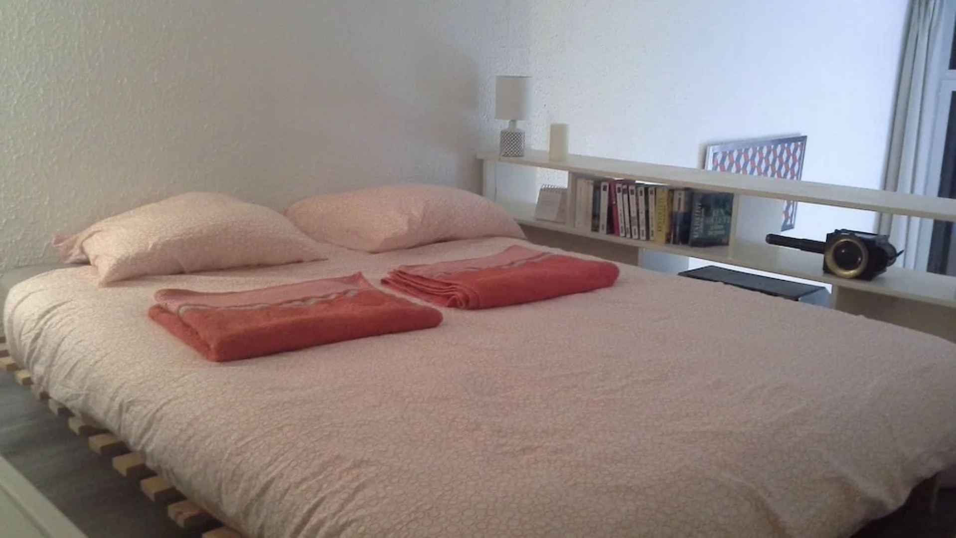 Appartement Pierre Scize sur la Saône