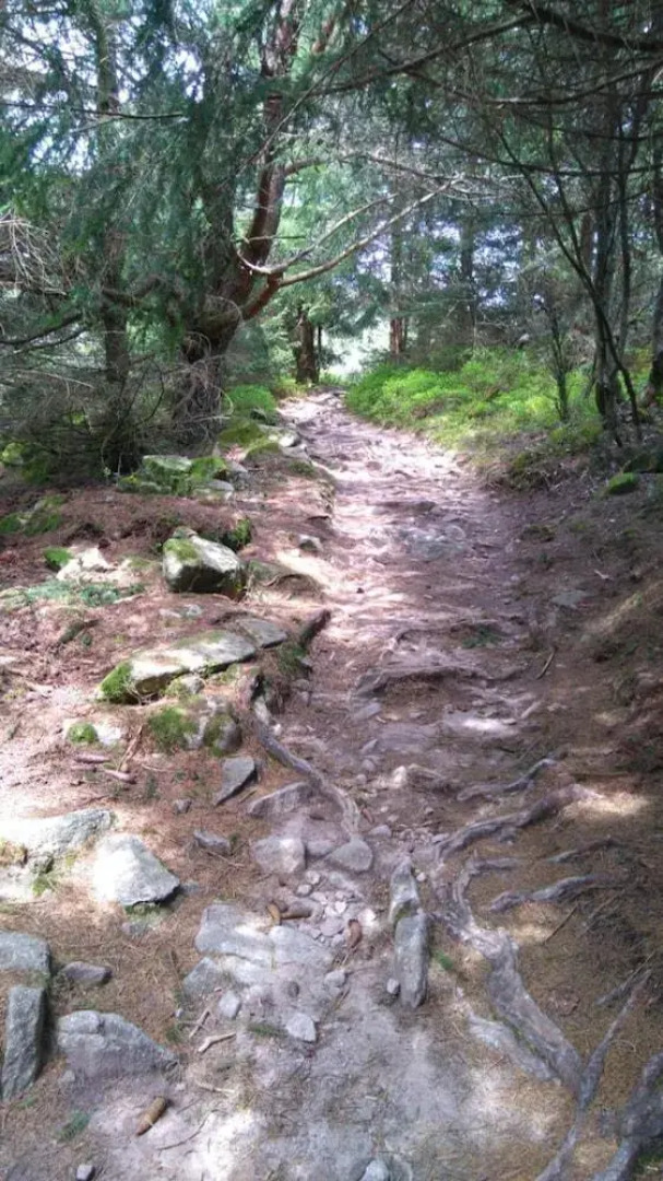 VVF Club Intense La Route des Vins d'Alsace Orbey