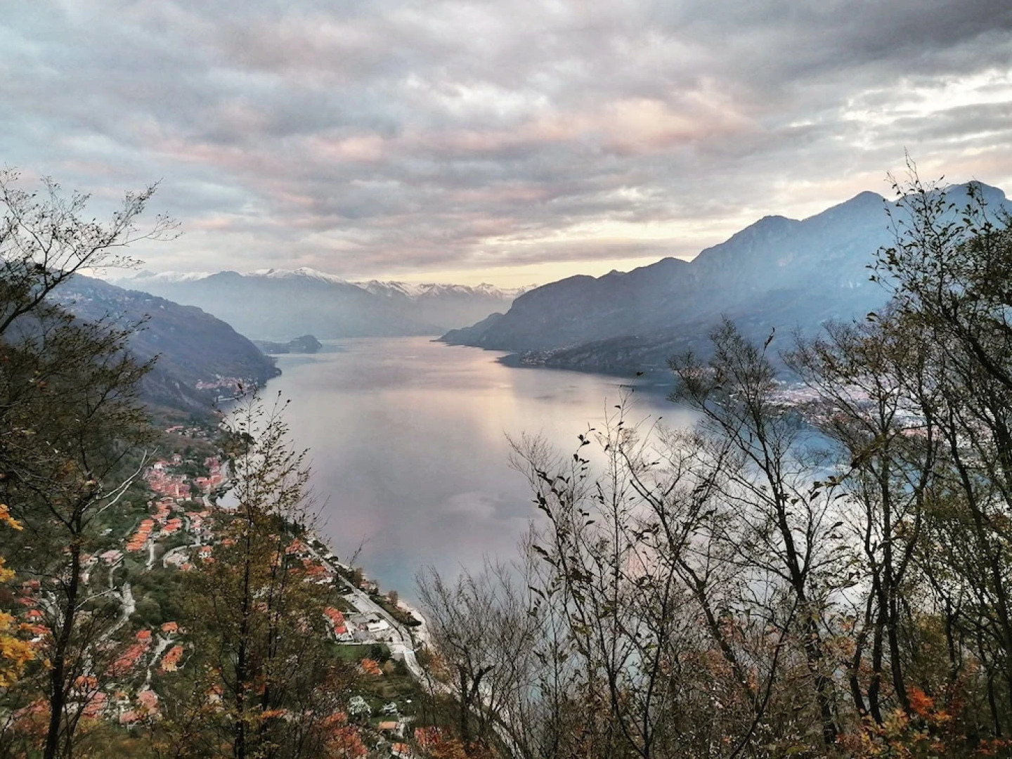 Narciso B&B Valbrona