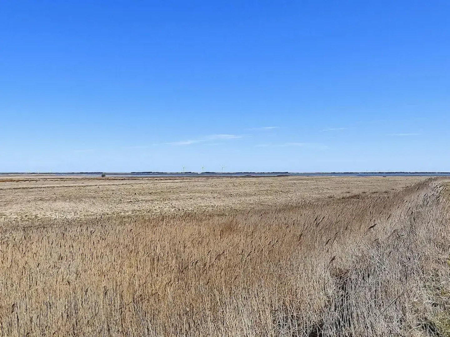 8 Person Holiday Home in Ulfborg-by Traum