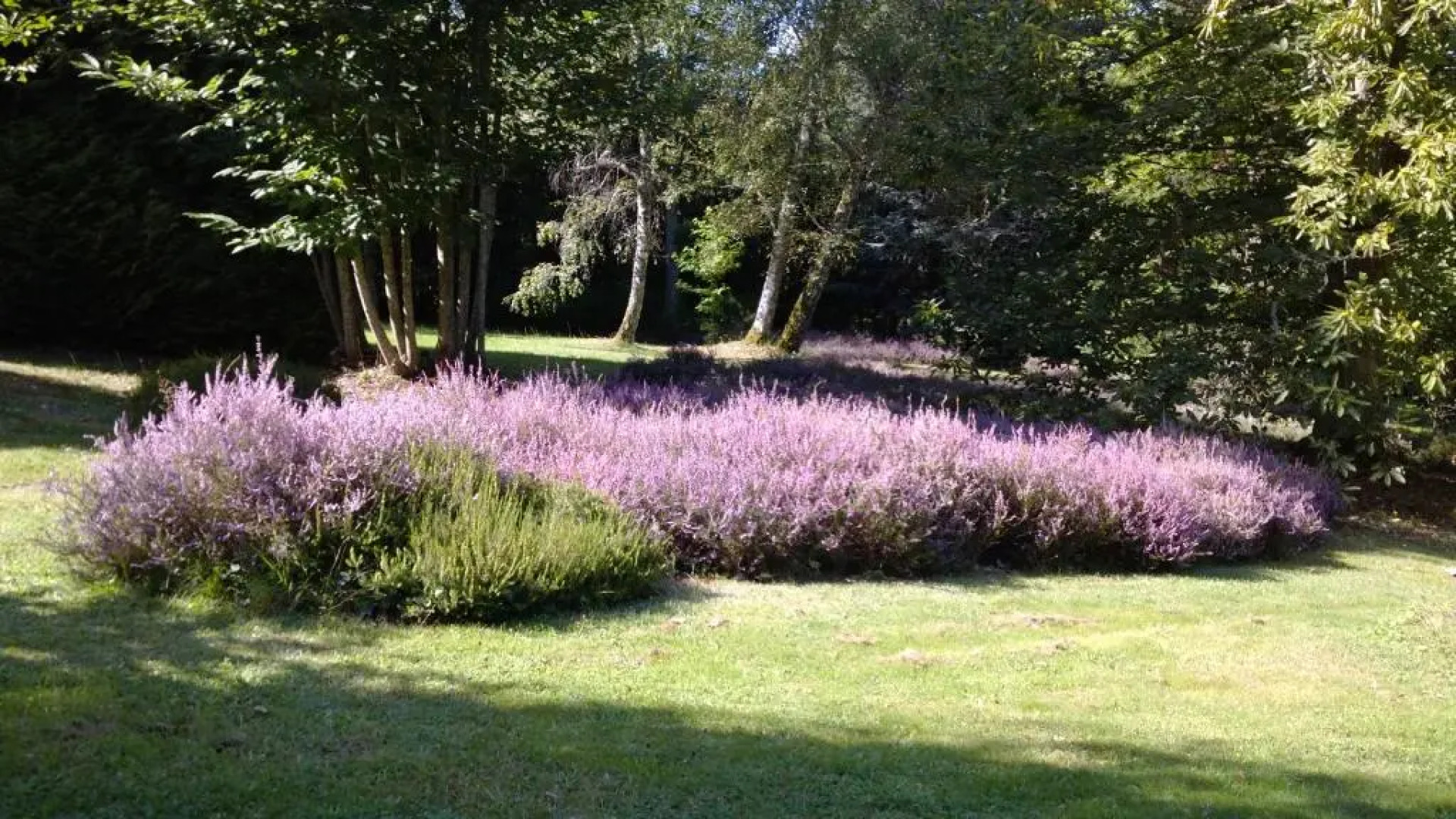 Chambres d'Hôtes Le Chalet