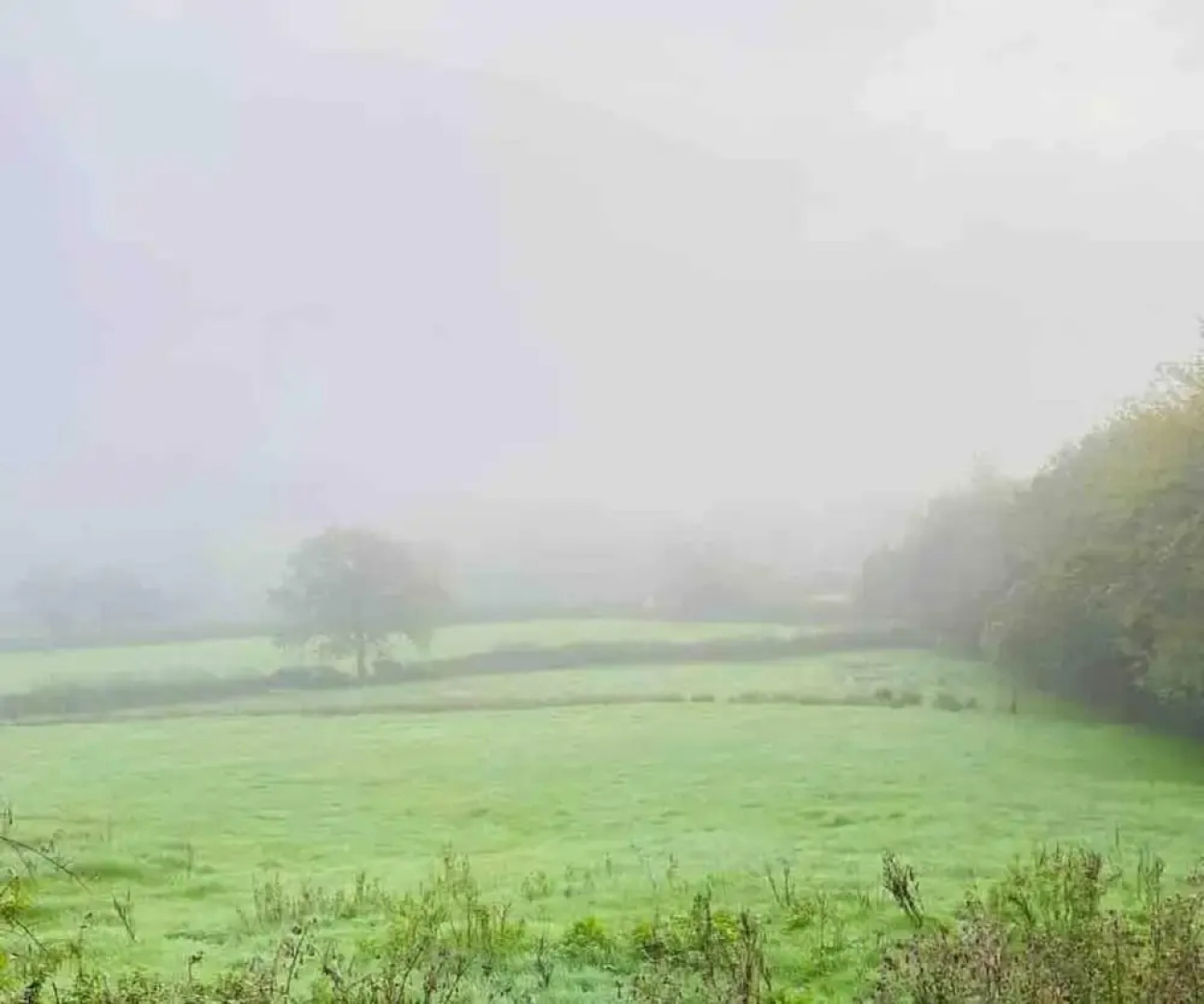 A Beautiful, Unique Lodge, Made for two