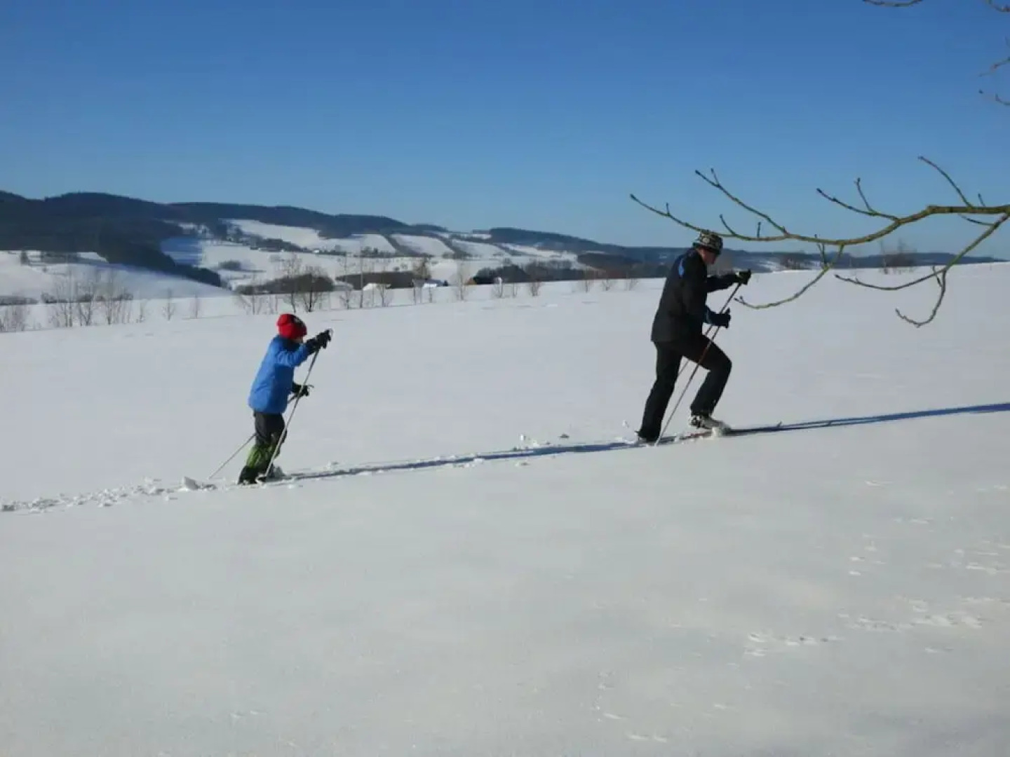 Holiday Home by the Forest