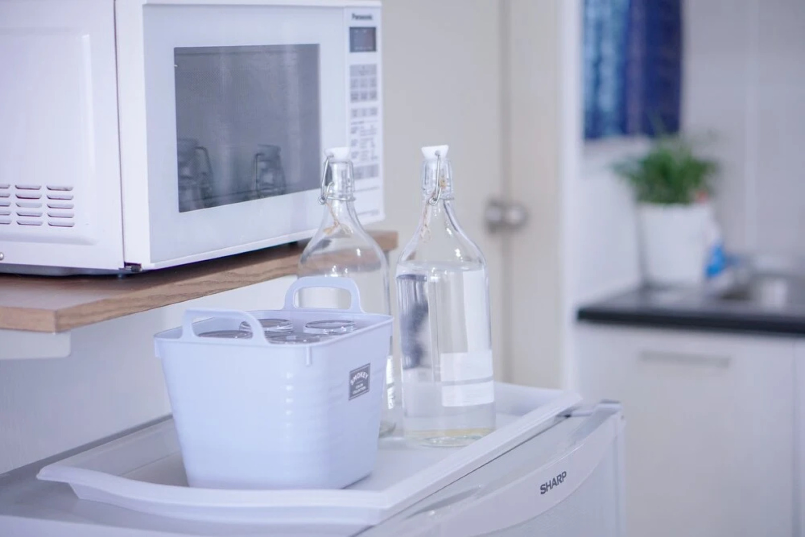 The Khailily's Guest