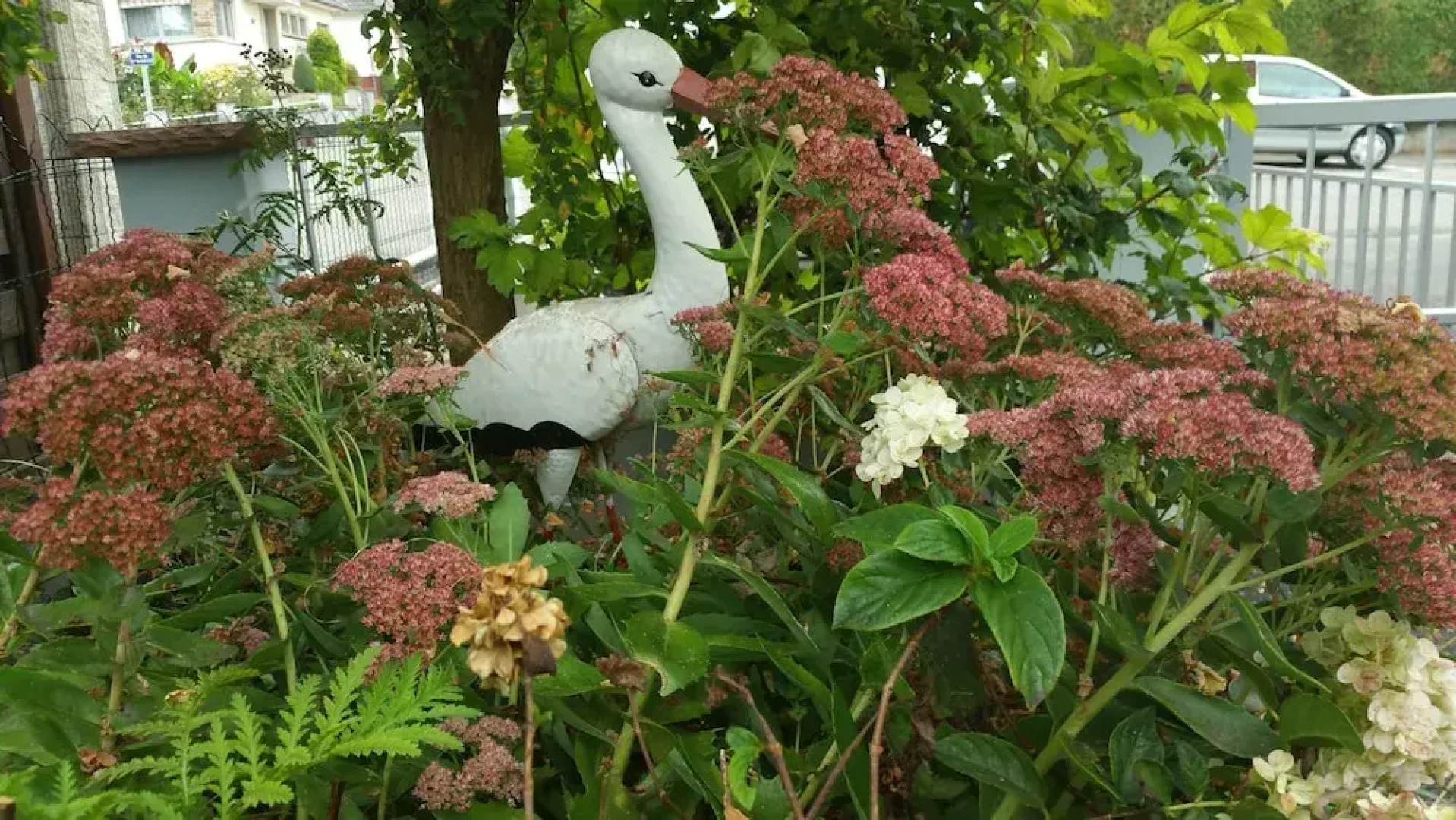Joli gîte proche Strasbourg