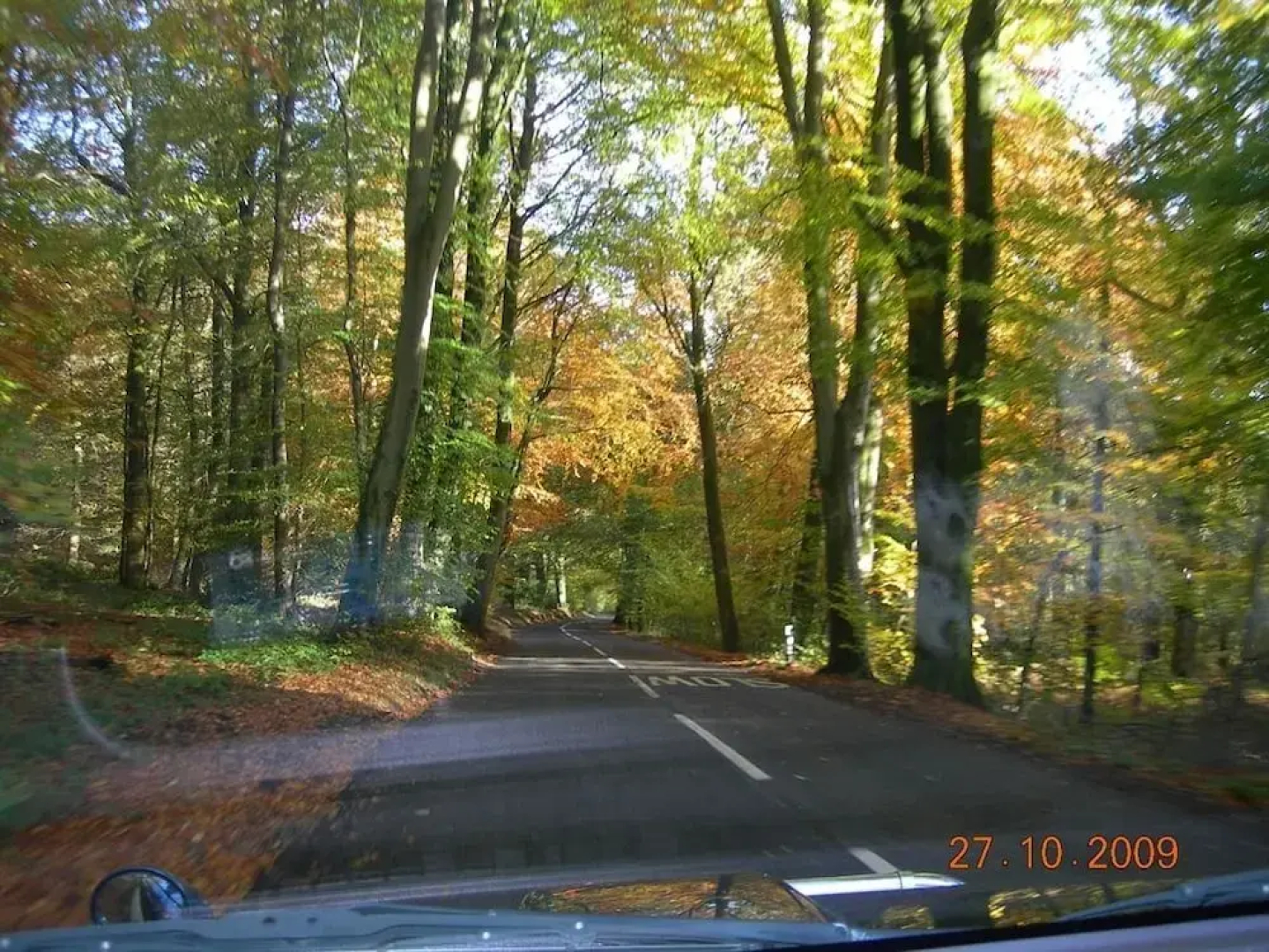 Two Hoots Campsite