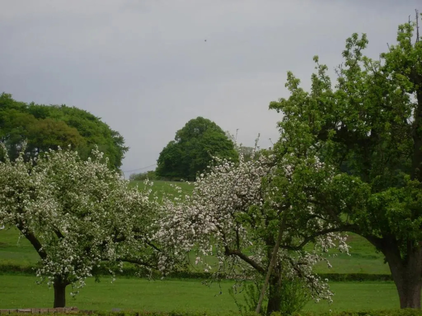 Du Cote de Chez Jeanne, Suite (Adults Only)