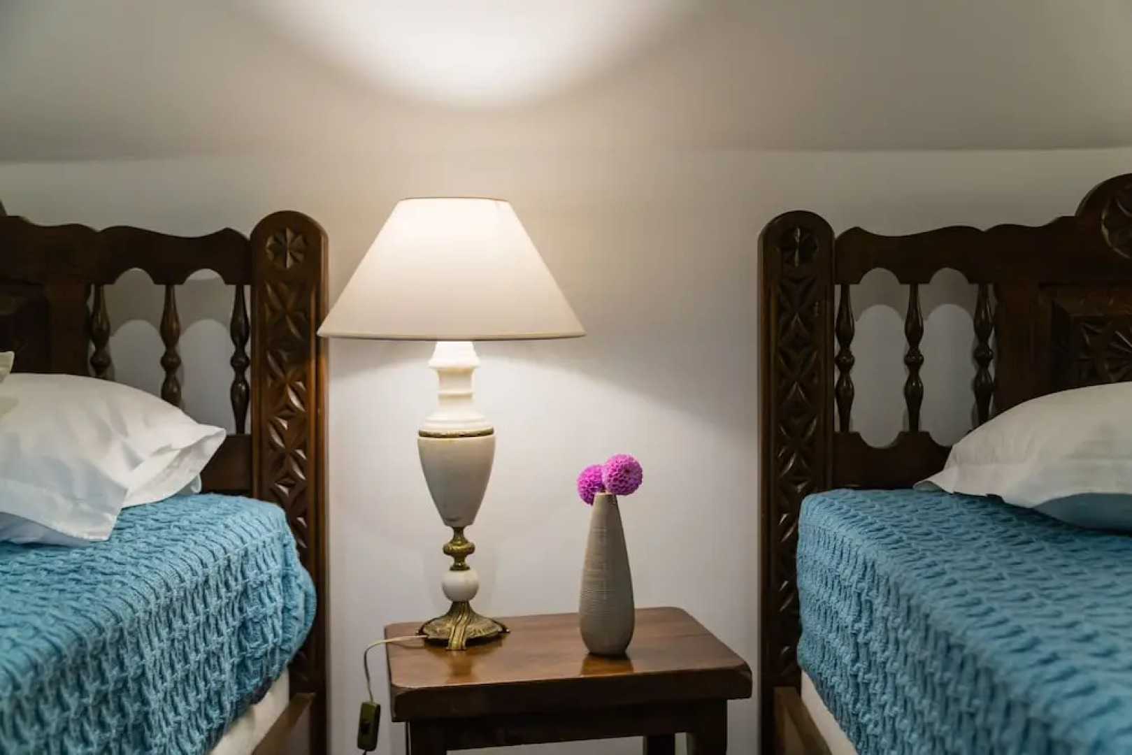 Amazing house with terrace garden