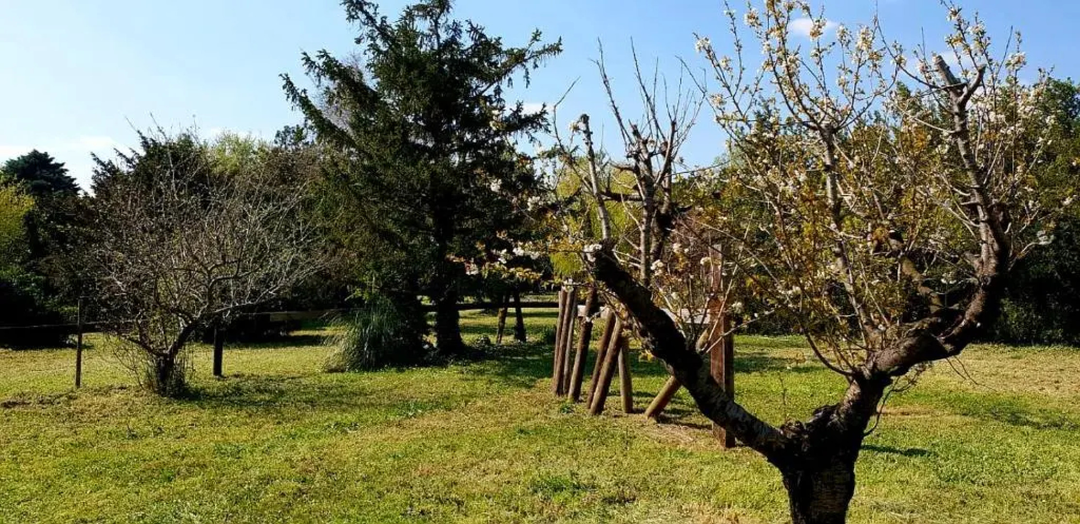 La Goyaw - Mas Tareau / Chambre d'hôtes