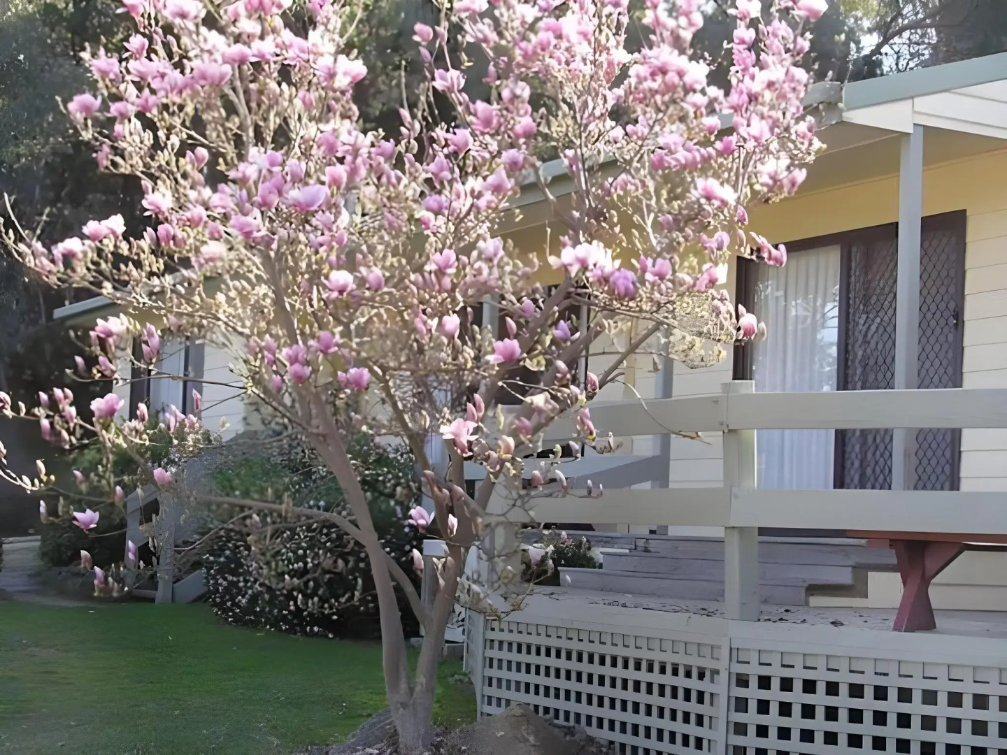 Golden Heritage Apartments Beechworth