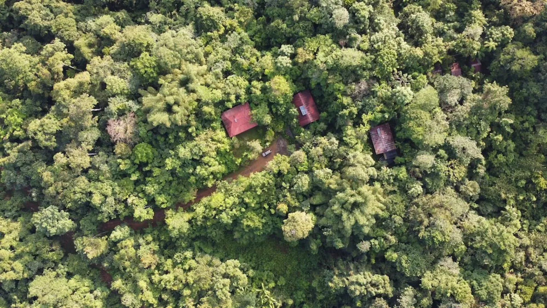 Yatama Ecolodge Sarapiqui
