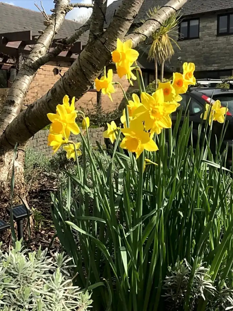 The Smithaleigh Hotel