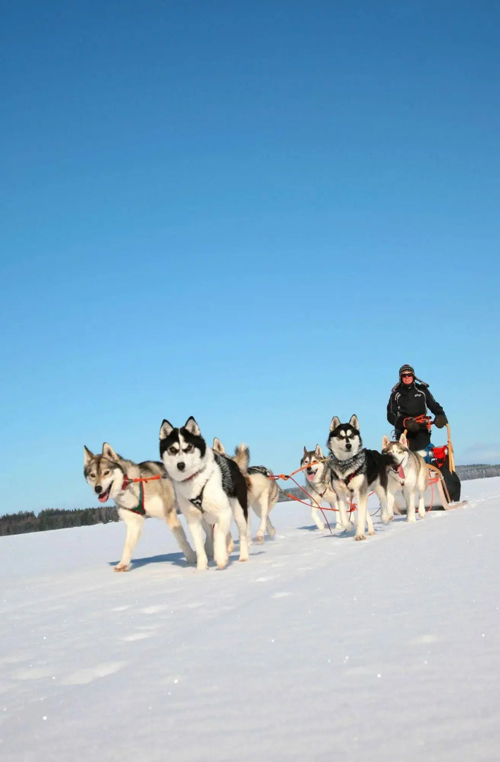Vuokatin Aateli Villas