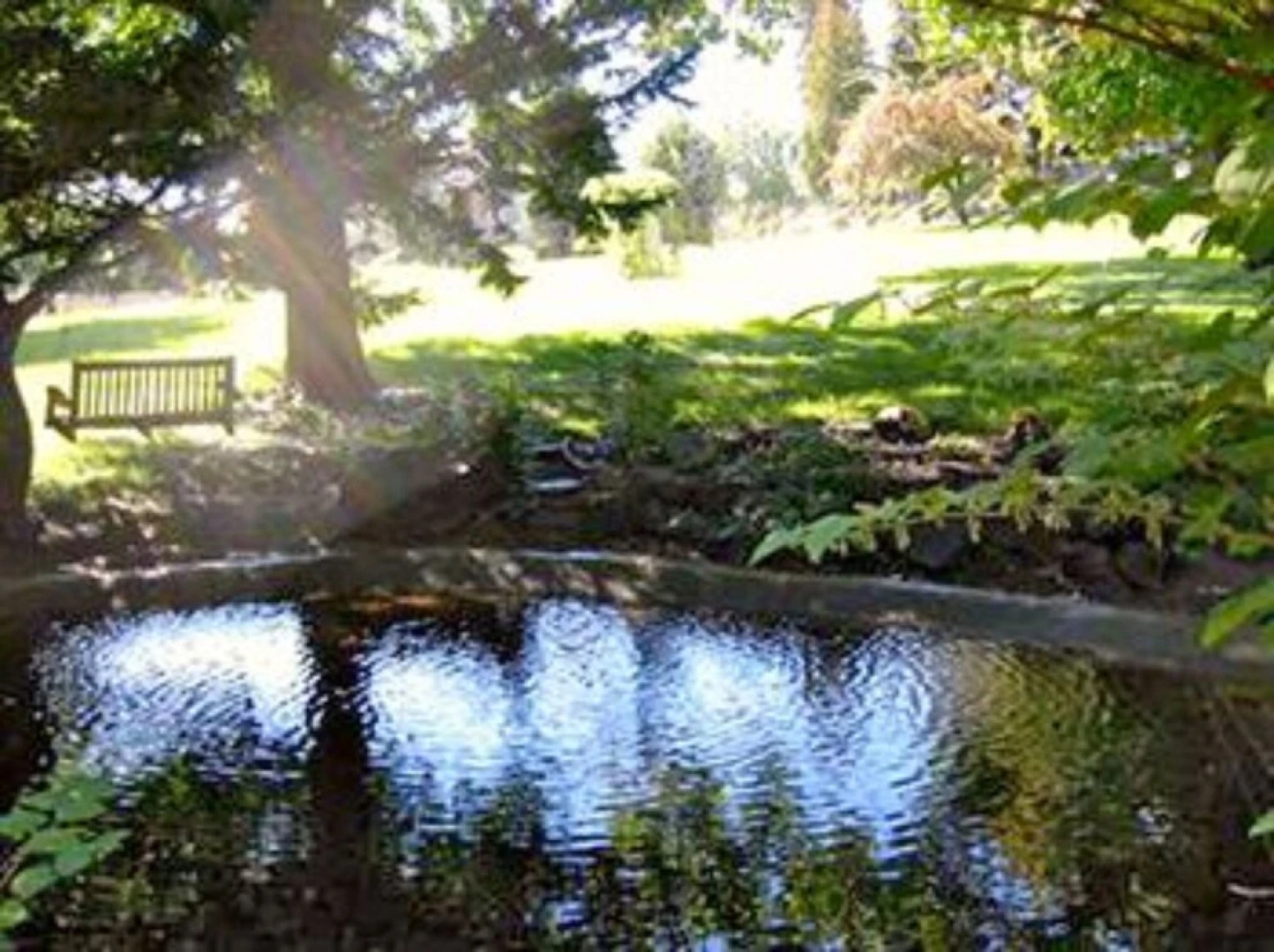 Rosedell Bed & Breakfast