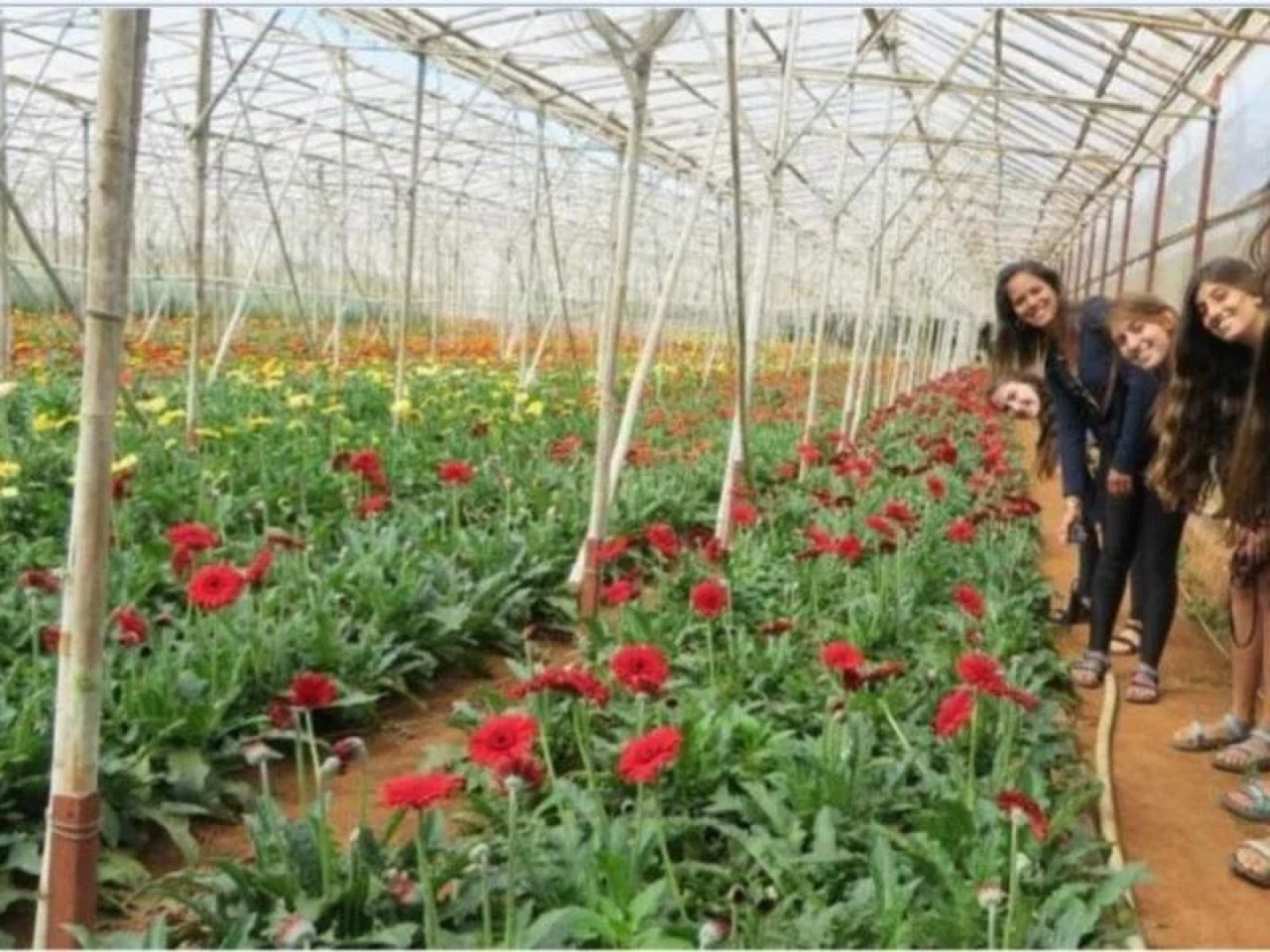 Authentic Family Homestay