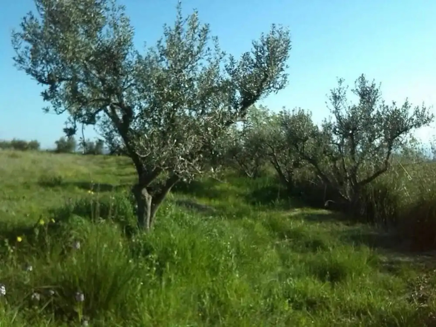 B&B Il Nido Di Alice